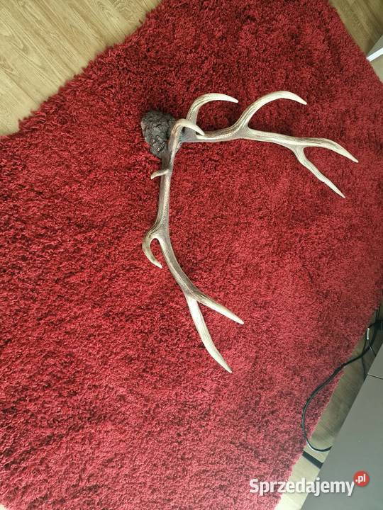 ROGI POROŻE OKAZJA Rękodzieło małopolskie Nowy Sącz