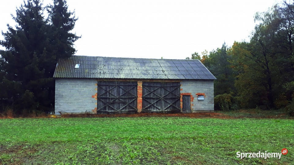 Działka siedliskowa z budynkiem Płońsk