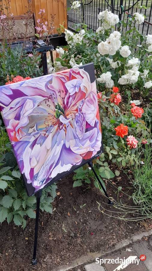 Piękne autorskie obrazy olejne na płótnie Brwinów