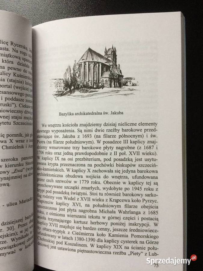 174 Szczecin Praktyczny Przewodnik