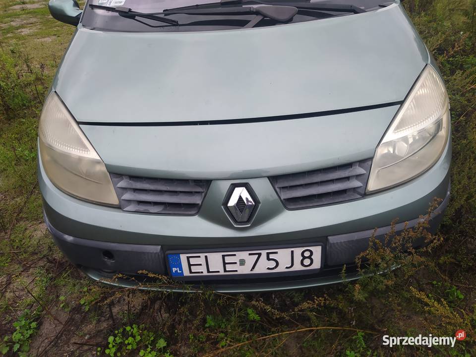 Maska silnika Renault Scenic 2 2003 20 benzyna Wartkowice sprzedam