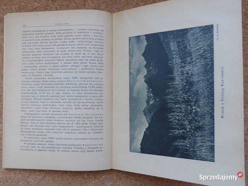 G Wierchy 1954 rocznik 23 Antykwariat Warszawa