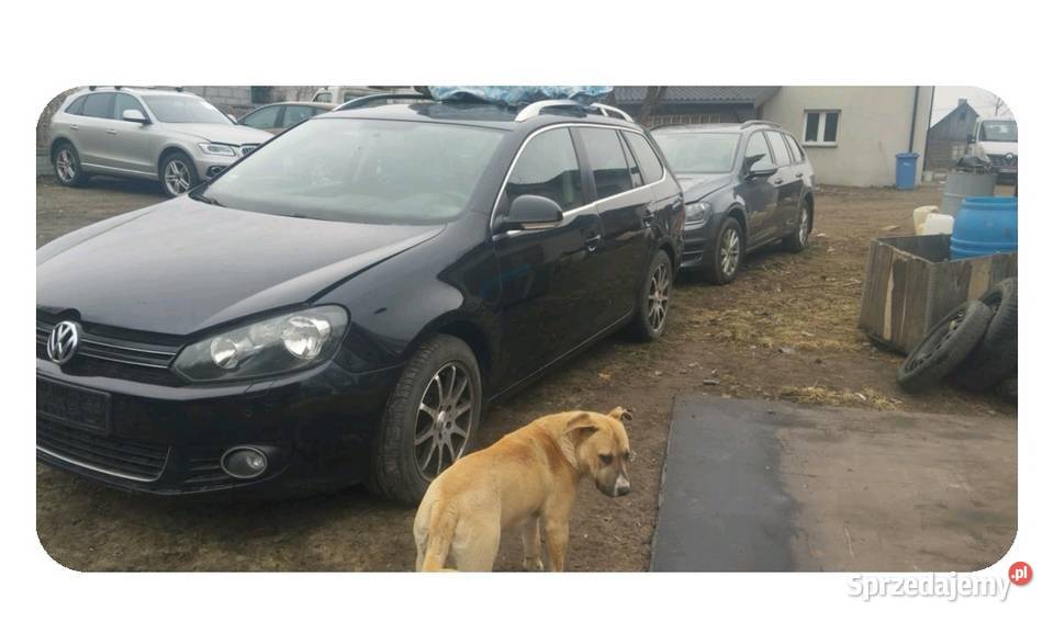 Volkswagen Golf VI światła do jazdy dziennej sprzedam