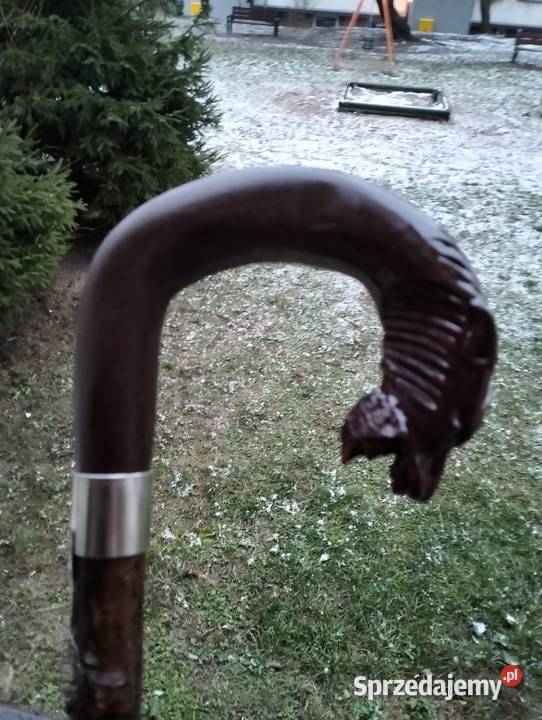 kolekcja starych lasek Pozostałe Ełk