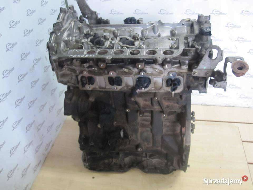 NISSAN XTRAIL KOLEOS QASHQAI 20 DCI M9R833 4X4 osobowe sprzedam