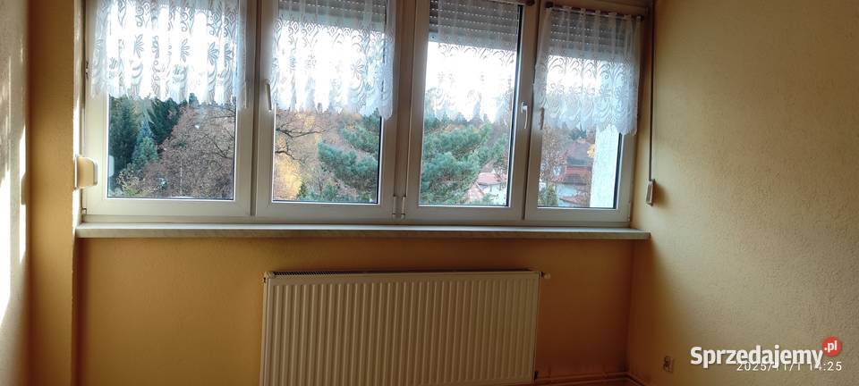 Sprzedam wyremontowane dwupokojowe mieszkanie w Lwówek Śląski