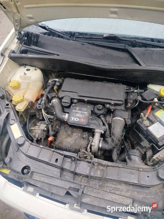 Ford Fusion 14 TDCI Prudnik