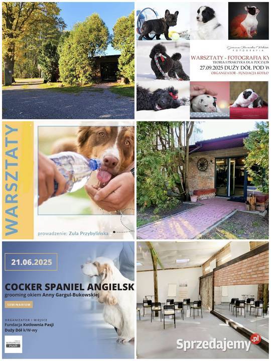 Szkolenia groomerów i hodowców Wwy mazowieckie Duży Dół