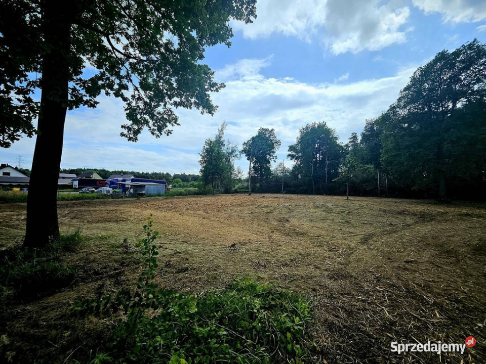 Działka budowlanaZgłobiceTarnówMałopolska siatka małopolskie Zgłobice