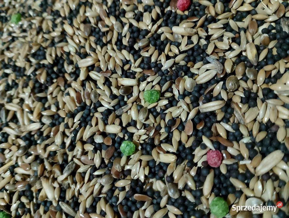 Karma papug kanarków gryzoni Strzeleczki