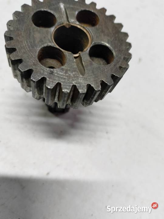 TRYB ZDAWCZY 27Z WAŁEK WSK 175 SPORT SHL M Łubno