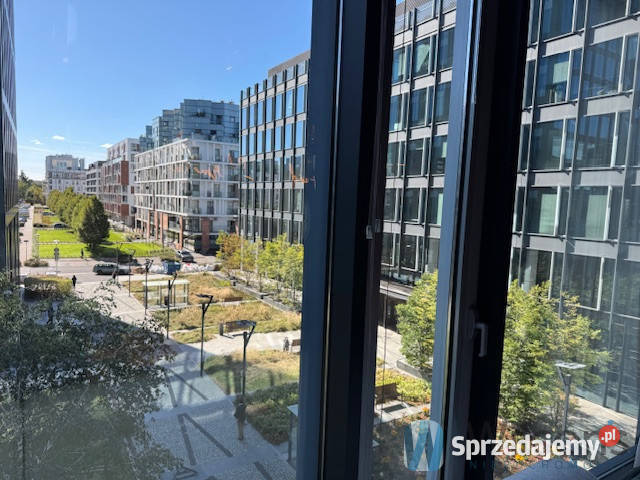 wynajmu lokalu Warszawa 50 metrów