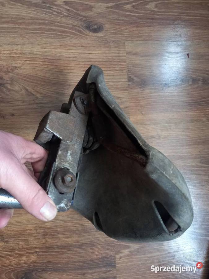 Siedzenie komar sztywniak Sokołów Podlaski