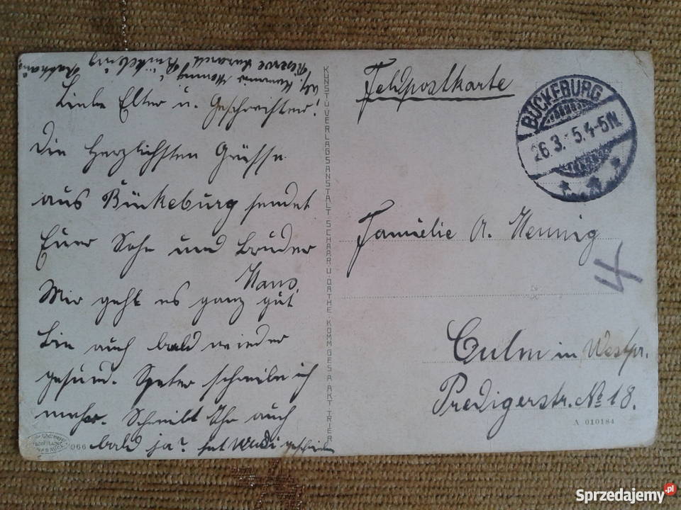 ZAMEK W BUCKEBURG NA TERENIE DOLNEJ SAKSONII