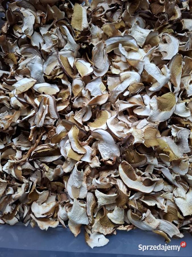 Grzyby suszone prawdziwek
