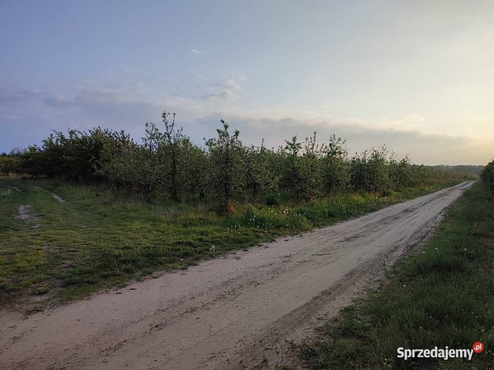 Działka rolna z sadem 14 200m2 mazowieckie Mogielnica