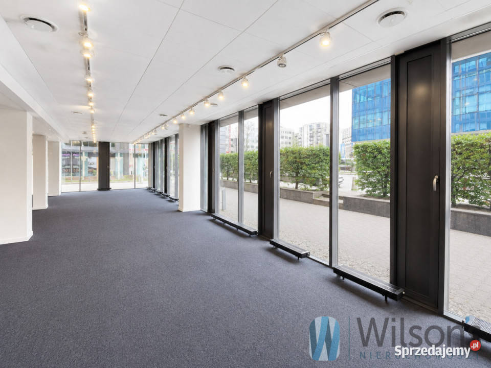 Ogłoszenie lokal 558m2 Warszawa Wynajem sprzedam