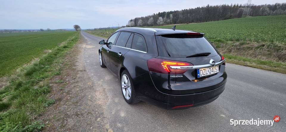 Opel Insignia 20 cdti 163 2014r lift ecoflex