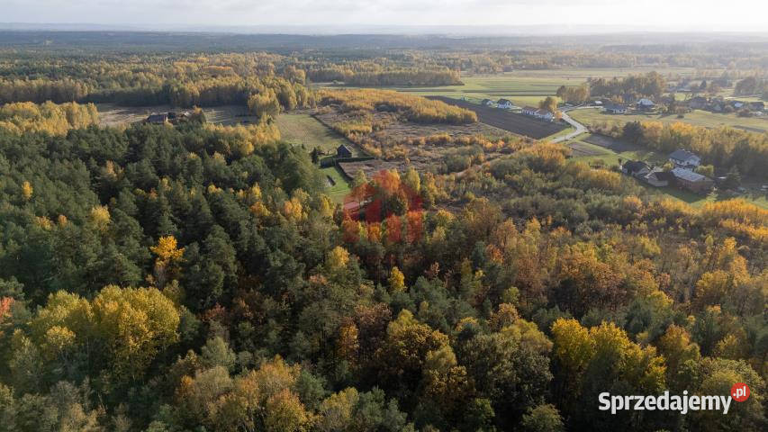 Grunt 9100m2 Kamionka 54zł/m2 podkarpackie sprzedam