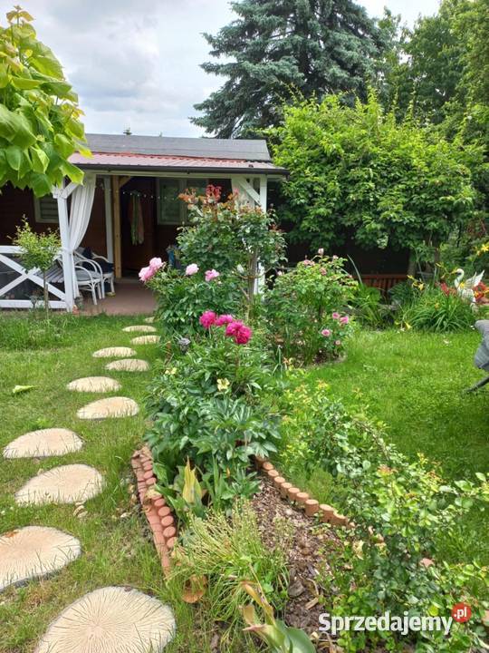 Dzialka ROD Bernatówka64 167zł/m2 Dys