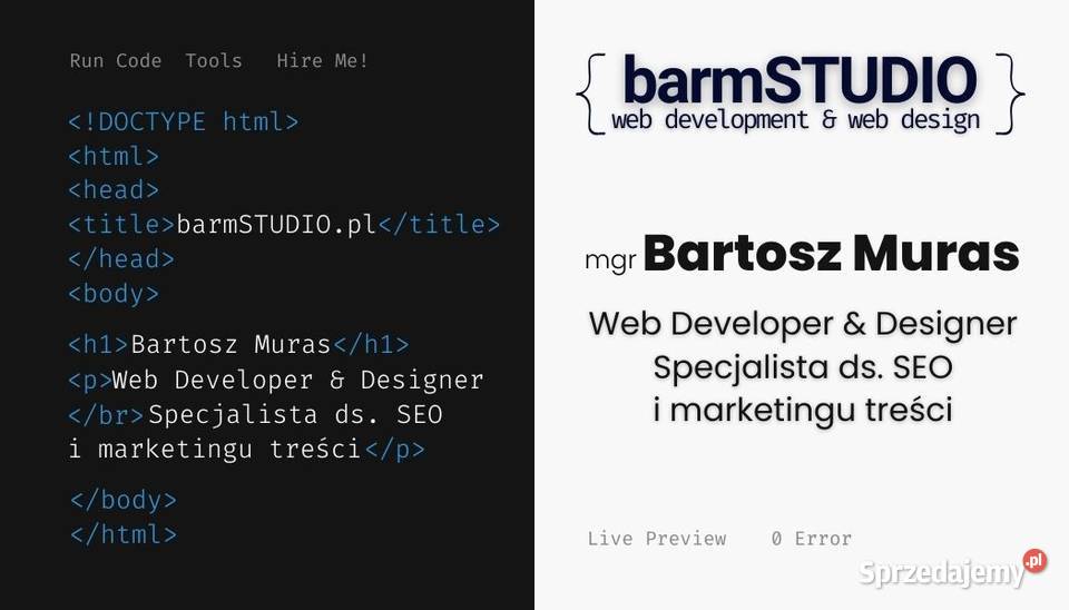 Strona internetowa domena serwer poczta TANIO i Katowice