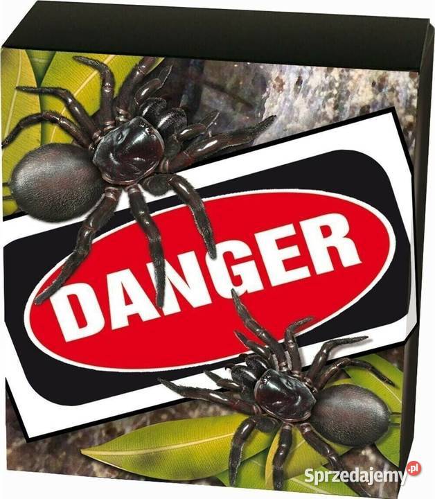 Pająk Funnel Srebrna moneta kolekcjonerska z Warszawa