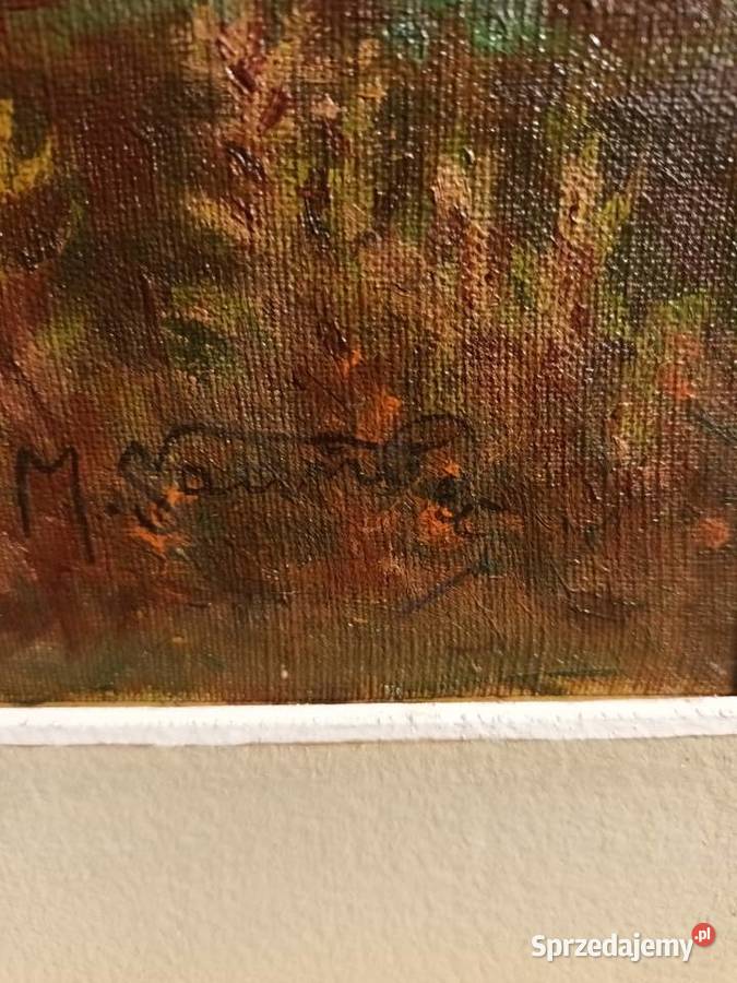 Pejzaż pogórze Sądeckiego