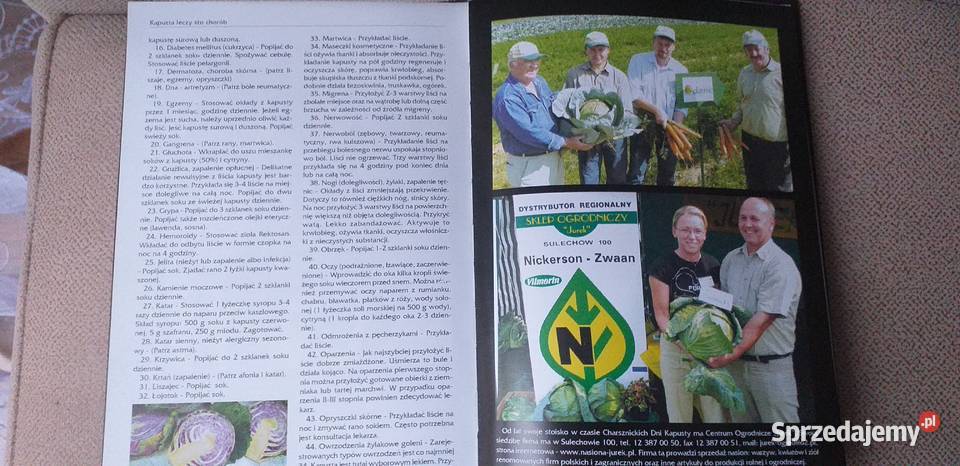 Charsznica kapuściana stolica Polski Kraków sprzedam