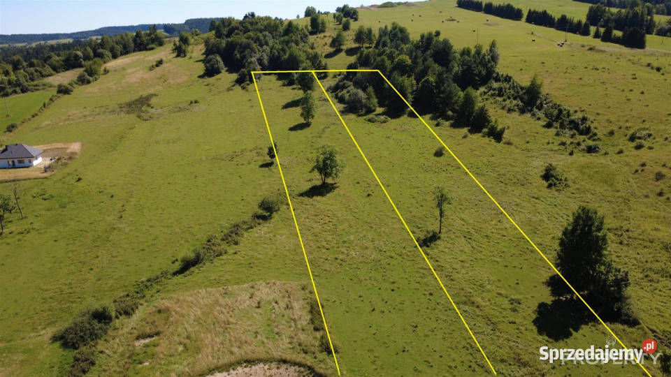 sprzedaży gruntu Berest 4900m2