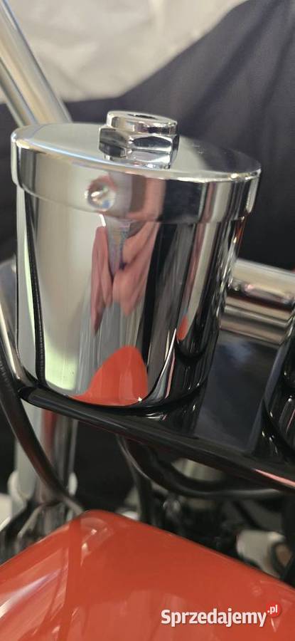 Wsk lelek dudek s2 s1 bąk kubki chrom licznik