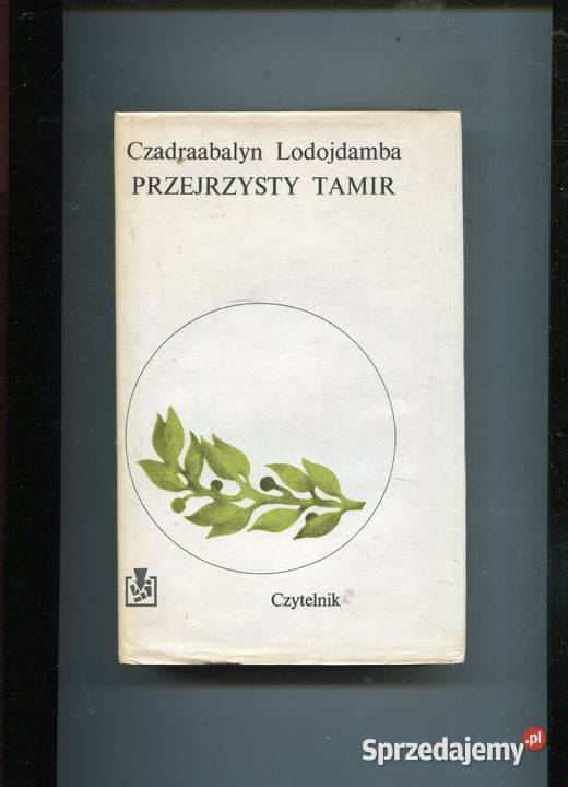 Przejrzysty Tamir Czadraabalyn Lodojdamba Szczecin