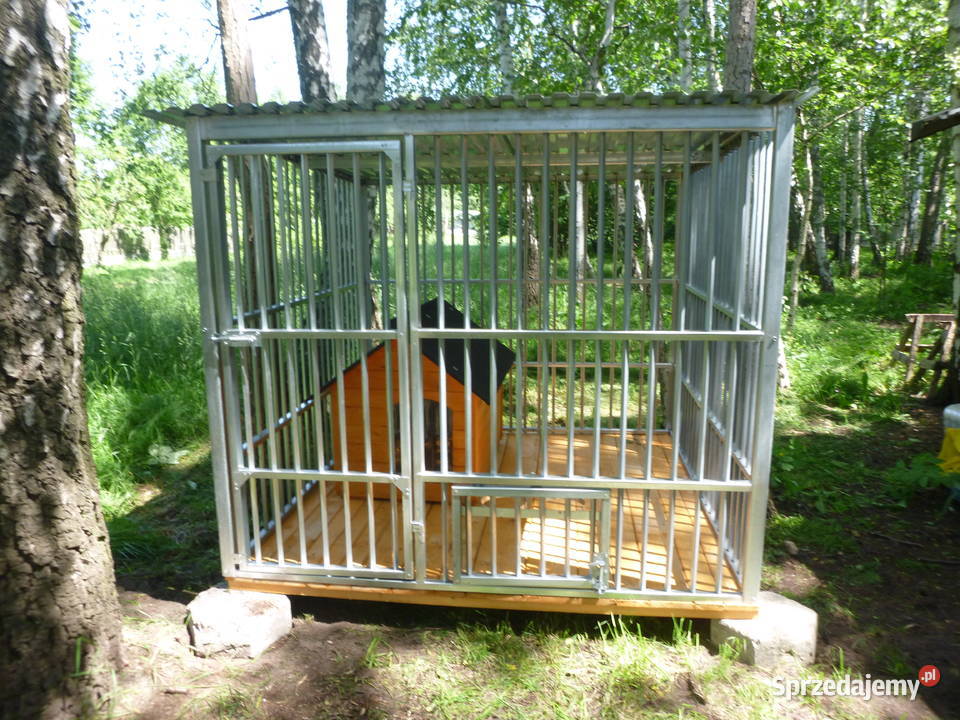 KOJEC PSA kojce MOCNE Cała Polska SZYBKI TERMIN dolnośląskie Wrocław