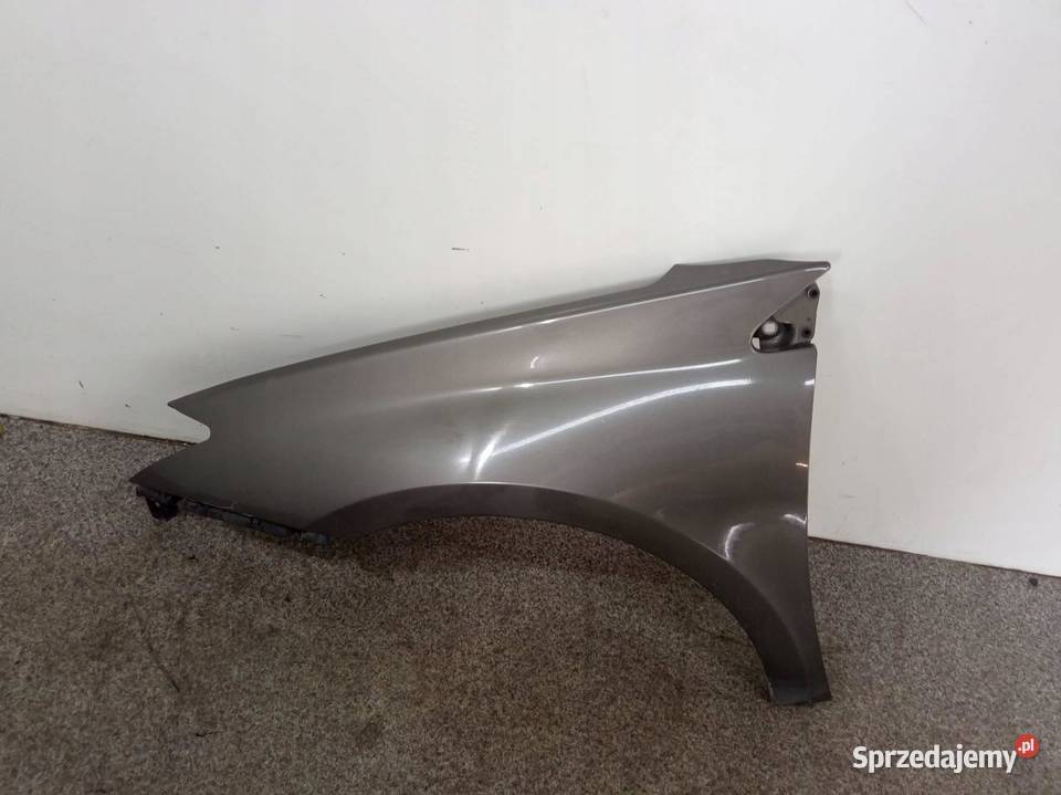 BŁOTNIK LEWY PRZÓD TEKND Renault Laguna III 2007 świętokrzyskie