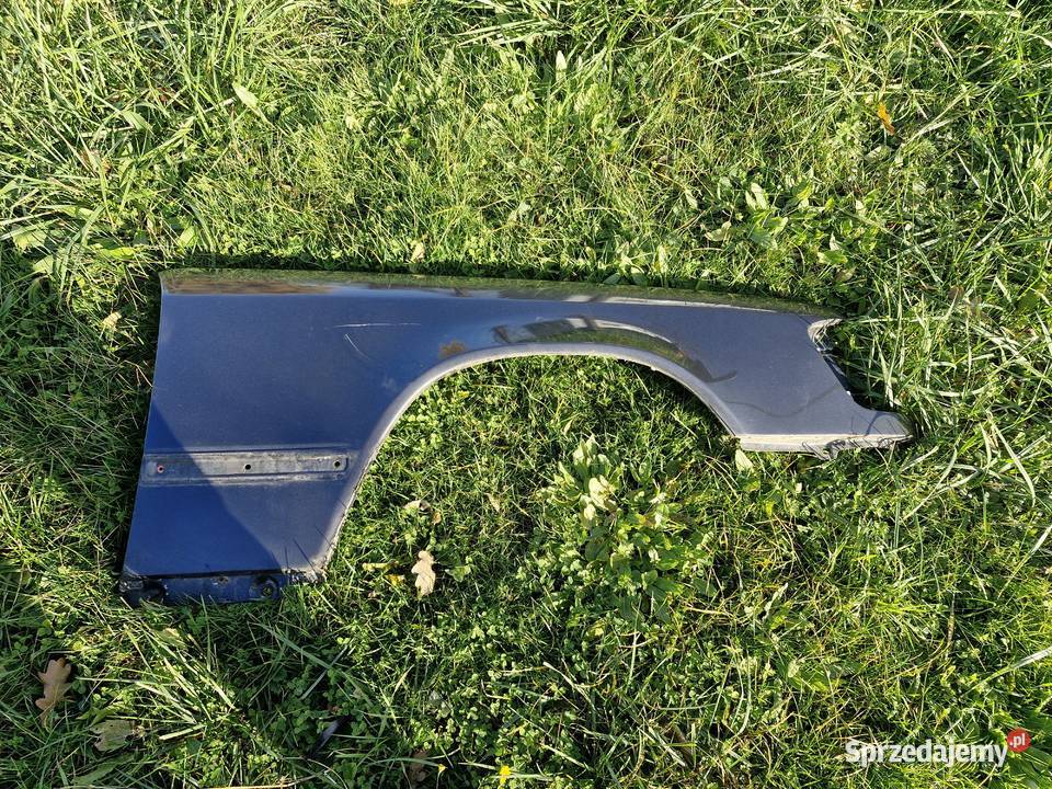 błotnik przedni mercedes w124 prawy lewy lubuskie Gorzów Wielkopolski sprzedam