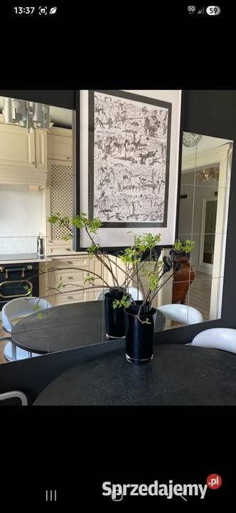Apartament rzeką ogródek sprzedam
