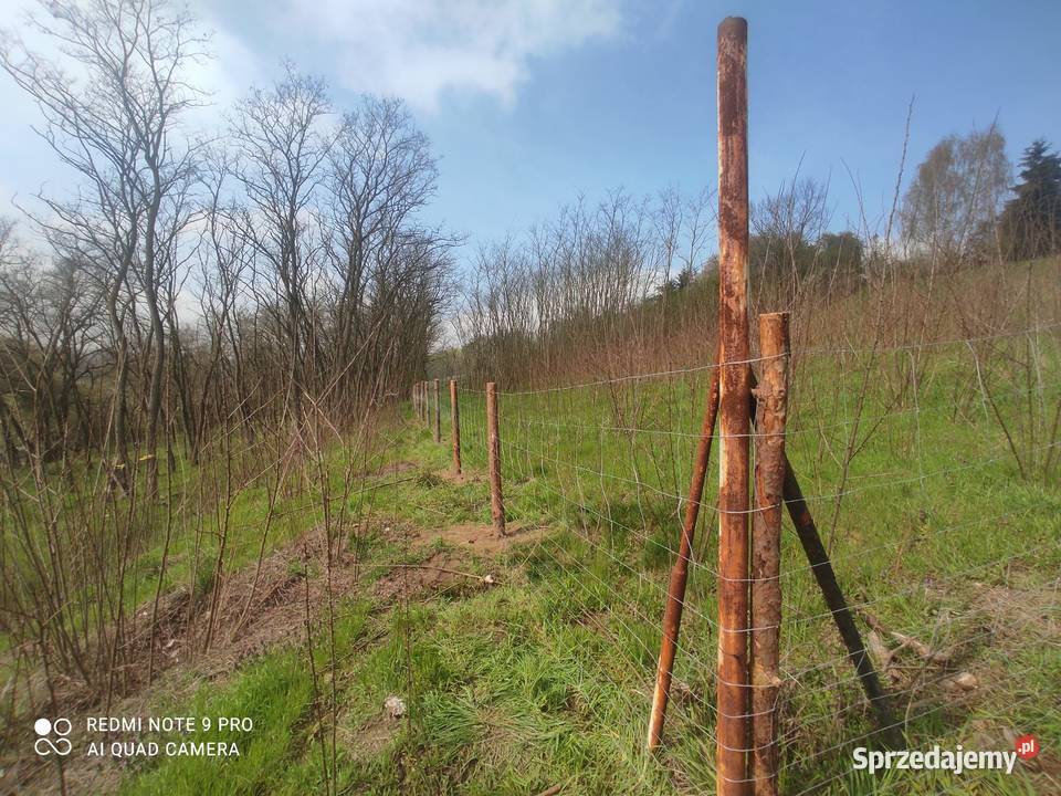 Siatka leśna Ogrodzenie tymczasowe Ogrodzenie Zielona Góra