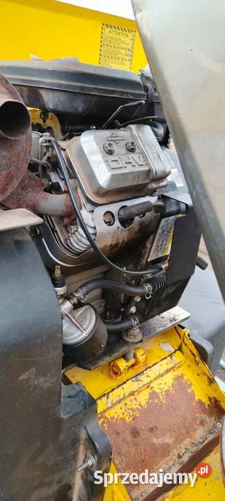 Saelen rozdrabniacz do gałęzi mobilny rębaczka