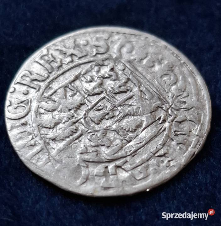 Półtorak Gustaw II Adolf Elbląg 1630 rzadki Antyki, Sztuka, Kolekcje Wejherowo