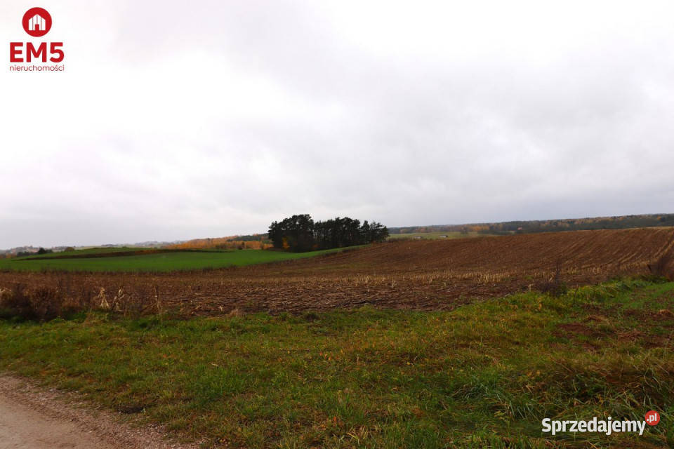 Działka 12000m2 Żegary