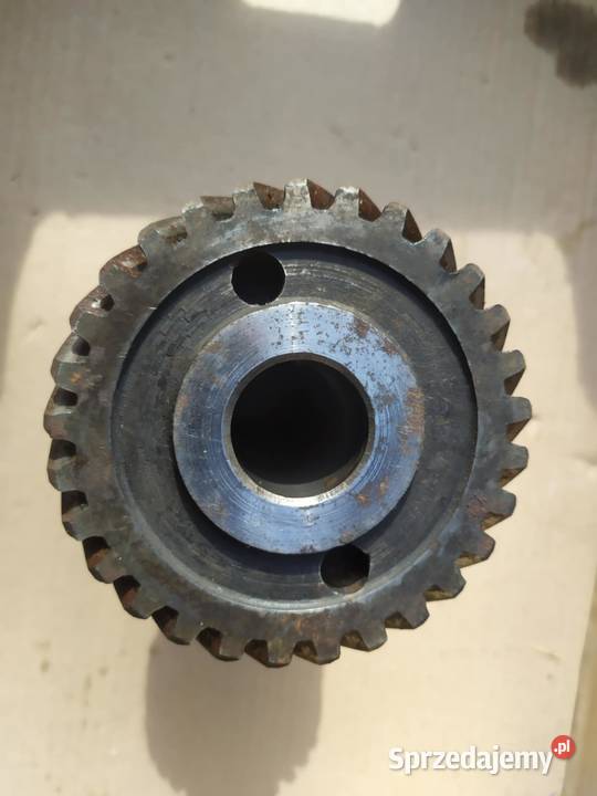 Koło zębate choinkaoryginał Pszczółki