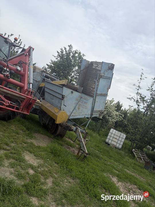 Kombajn ziemniaczany Anna lubelskie Radzyń Podlaski