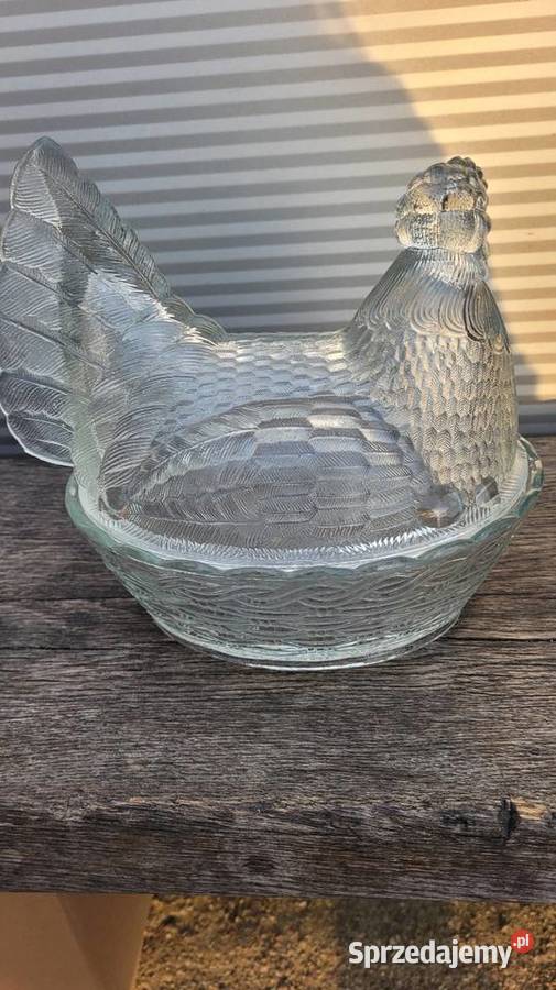 Duża kura prl Ciechanowiec