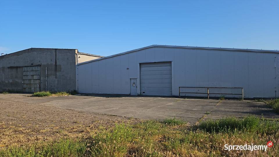 Hala Produkcja Magazyn Wynajem Czersk