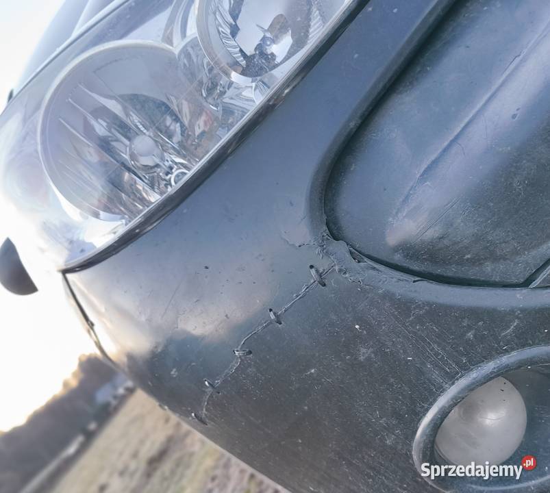 Peugeot 206 plus 2010 Huta Gogołowska