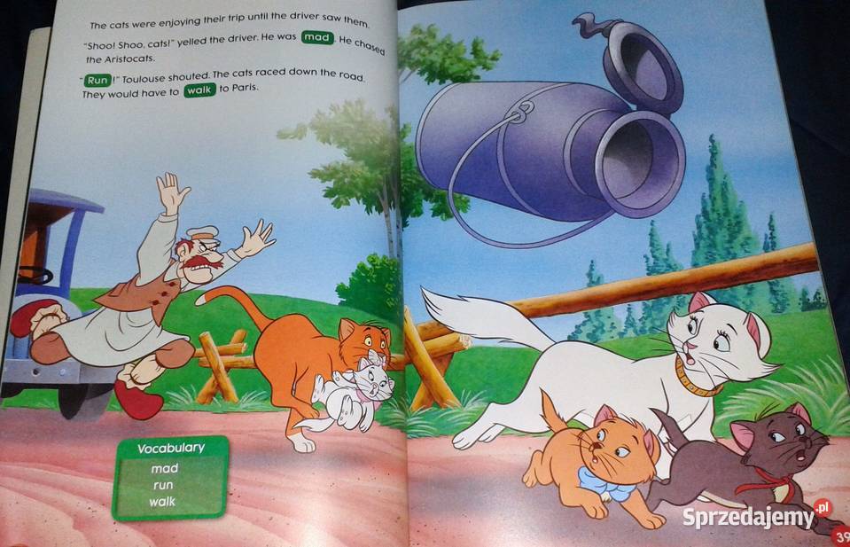 Step up 1 Storybook Listen and learn Disney sprzedam