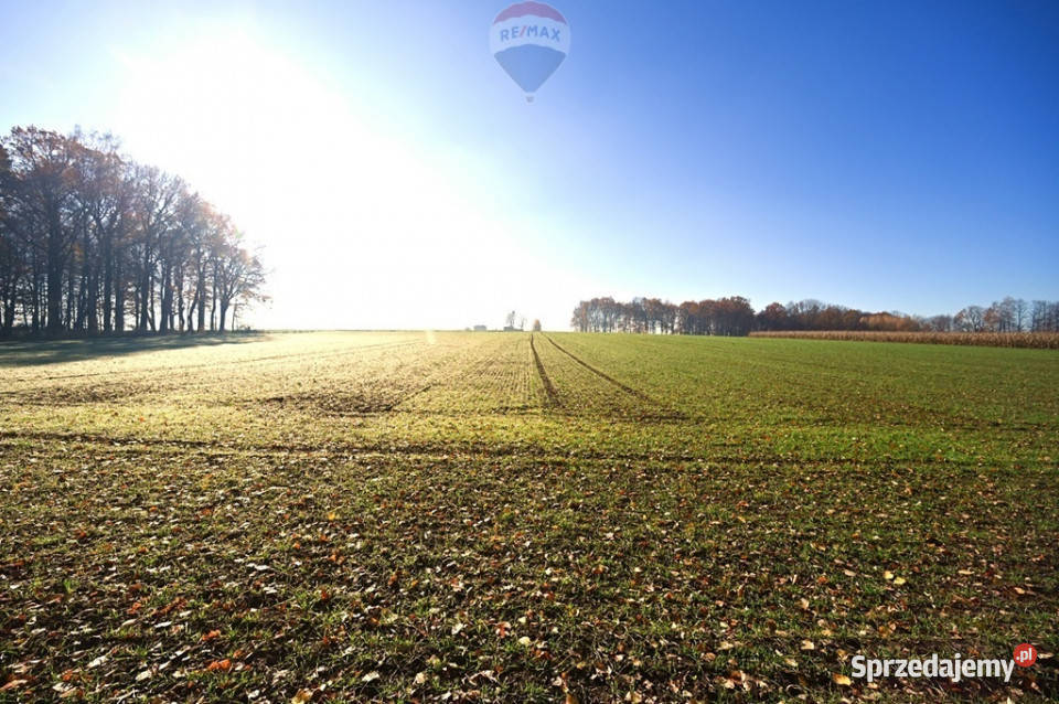 Działka rolna Witkowice Osiek