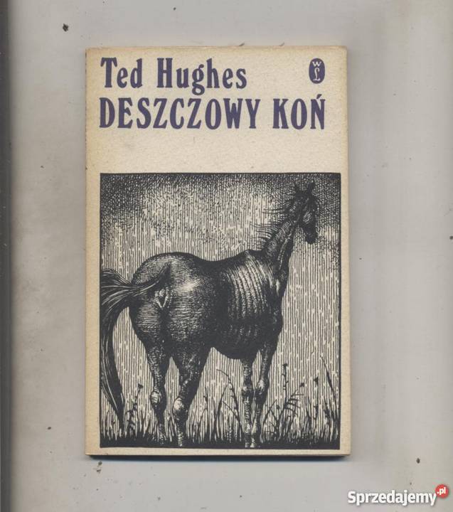 Deszczowy koń Pozostałe