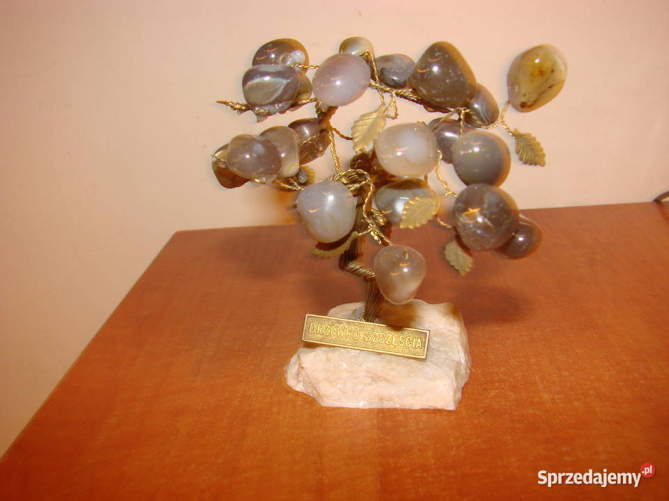 drzewko szczęścia Pruszcz Gdański