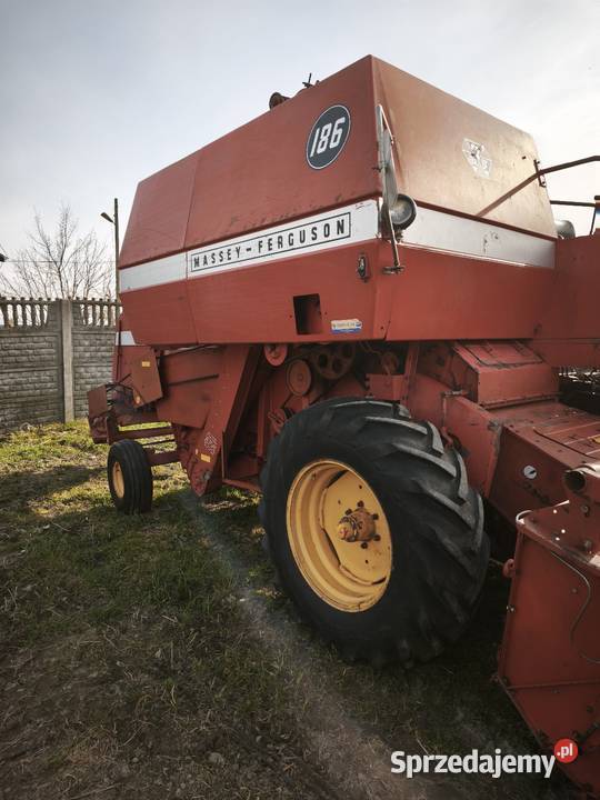 Massey Ferguson 186 Modliborzyce
