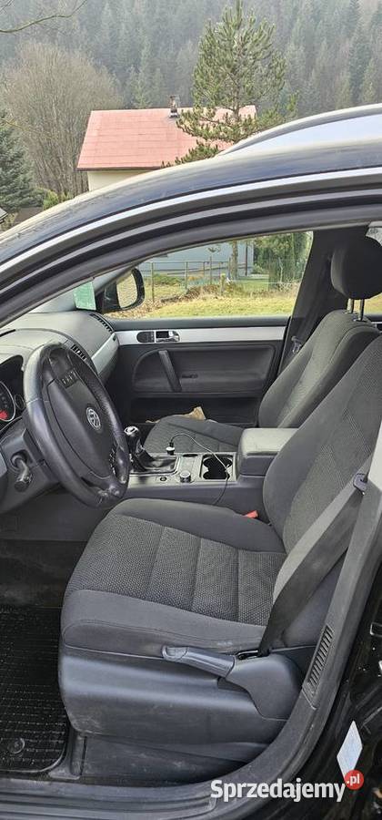 Touareg spotkaniu z sarną Przyborów